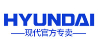 Hyundai·东兰顺店铺图片
