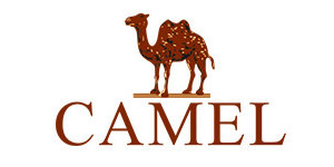 Camel骆驼男鞋店铺图片