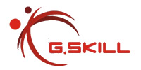 G.SKILL芝奇店铺图片