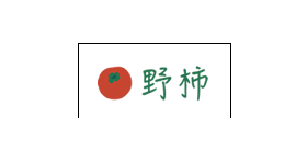 野柿童装图片