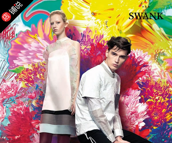 THE SWANK 诗韵图片