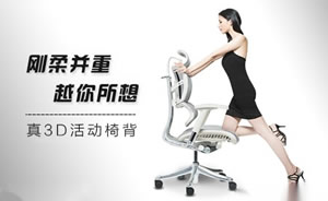 Ergomax迩高迈思人体工学椅图片