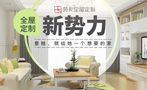 劳卡全屋定制图片