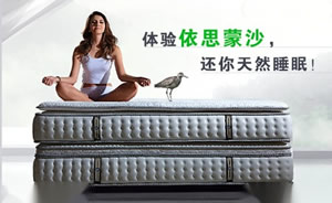 依思蒙沙家具图片