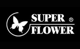 SuperFlower振华电源图片