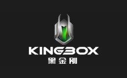 黑金刚内存条图片