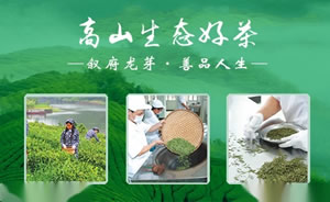 叙府酒图片