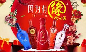 今世缘酒图片