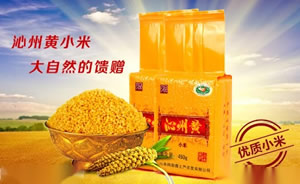 沁州黄小米图片