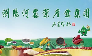 神州杂粮图片