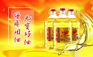 元宝牌大豆油图片