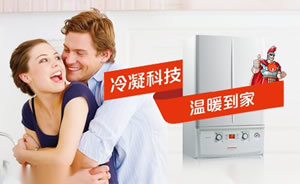 Immergas依玛壁挂炉图片